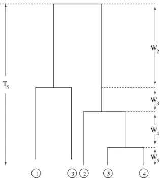 Figure 5.1. A sample path of the coalescent for a sample of size n = 5.