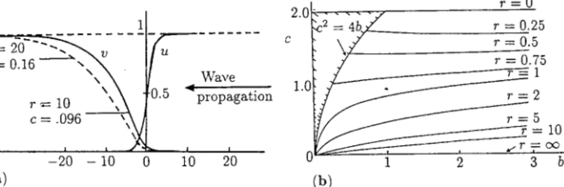 Figure 1.8. (a) Typical computed wavefront solution of the Belousov–Zhabotinskii model system (1.85) for u and v for b = 1.25 and two values of the upstream bromide parameter r