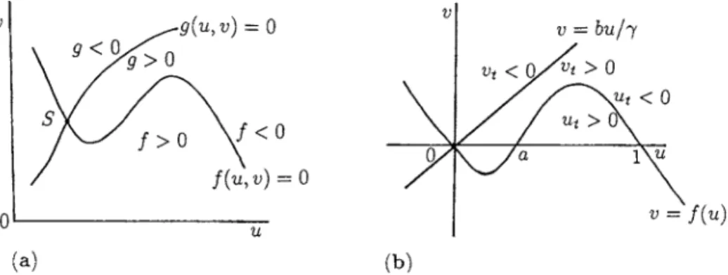 Figure 1.9. (a) Typical null clines for excitable kinetics. The kinetics here have only one steady state, S, which is globally stable but excitable