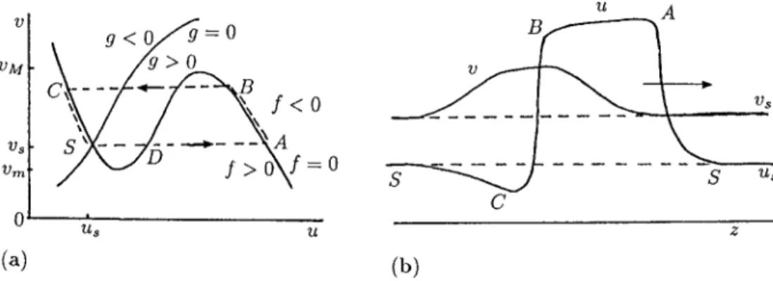 Figure 1.13. (a) Schematic null clines f (u, v) = 0, g(u, v) = 0 for the excitable system (1.102)