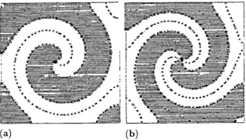 Figure 1.22. Computed (a) 1-armed and (b) 2-armed spiral wave solutions of the λ–ω system (1.135) with the λ and ω given by (1.145) with β = 1