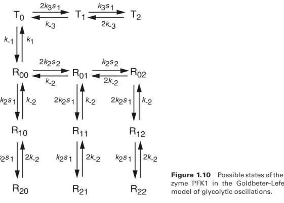Figure 1.10 Possible states of the en- en-zyme PFK1 in the Goldbeter–Lefever model of glycolytic oscillations.
