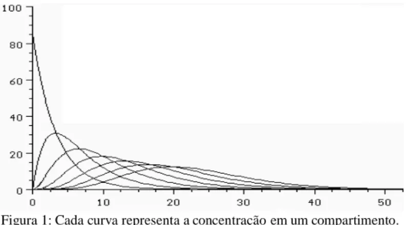 Figura 1: Cada curva representa a concentração em um compartimento.