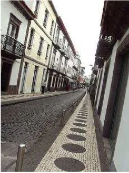 Fig 1.5 - Rua de - S. Miguel (Açores)