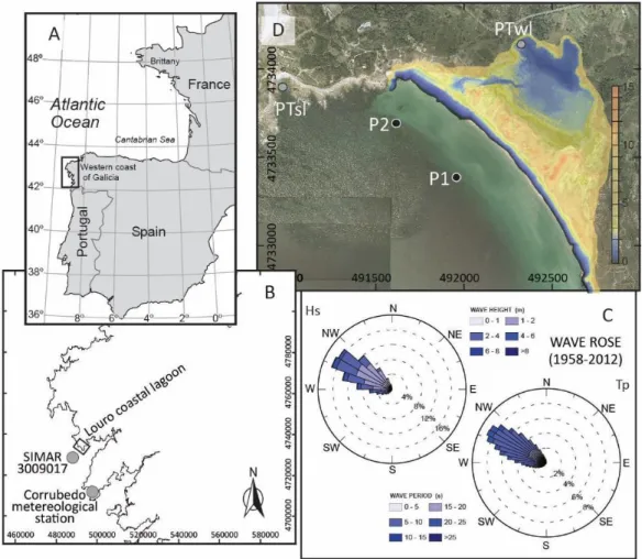 Figure 1. Location of field site. (A): Location in the framework of the Iberian Peninsula