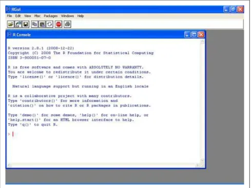 Figure 2-1. R user interface on Windows XP