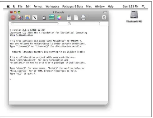 Figure 2-2. R user interface on Mac OS X