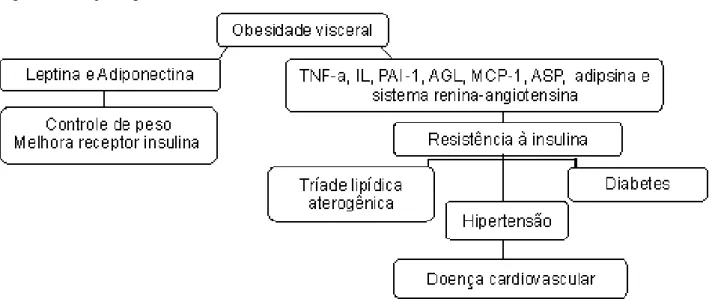 Figura 1 – Fisiopatologia da Síndrome Metabólica