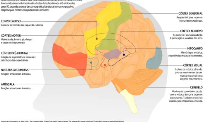 Figura 1: Mapeamento de atividades musicais no cérebro Fonte: adaptação a partir de Levitin (2010, p