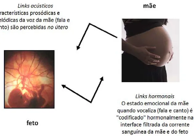 Figura 2: O modelo de uma resposta emocional do feto integrada ao som através da experiência concomitante da prosódia, da  melodia cantada e do estado afetivo da mãe.