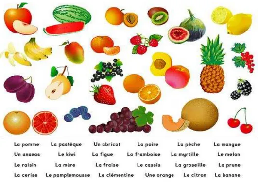 Figura 18 - Les fruits (identificação) 