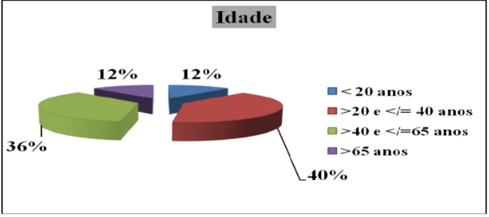 Gráfico 2 – Representação da idade segundo classes 