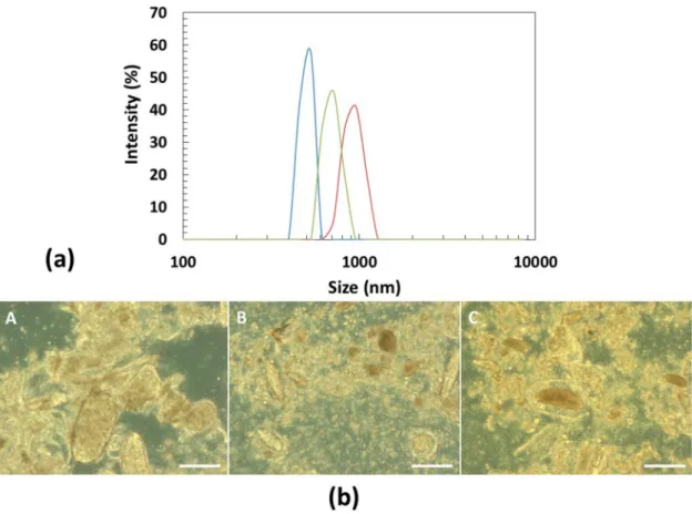 Figure 3. Characterization of the particles from pulse-based beverages with new water (B2): (a) particle size distribution of chickpea (blue), lupin (orange) and lupin + chickpea mixture (gray) estimated by dynamic light scattering (Zetasizer); (b) optical