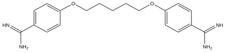 Figura 5. Representação da estrutura molecular da pentamidina . 