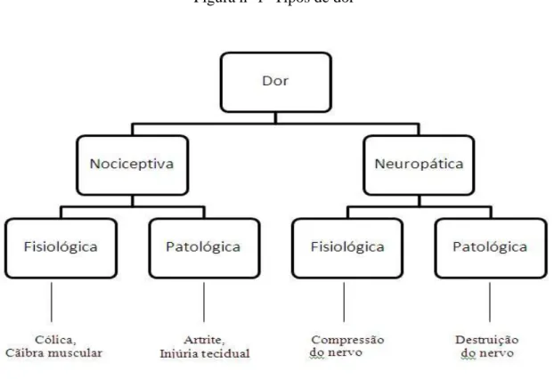 Figura nº 1- Tipos de dor 