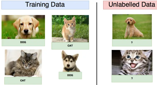 Figure 1.1: Example of a classification problem on Machine Learning.