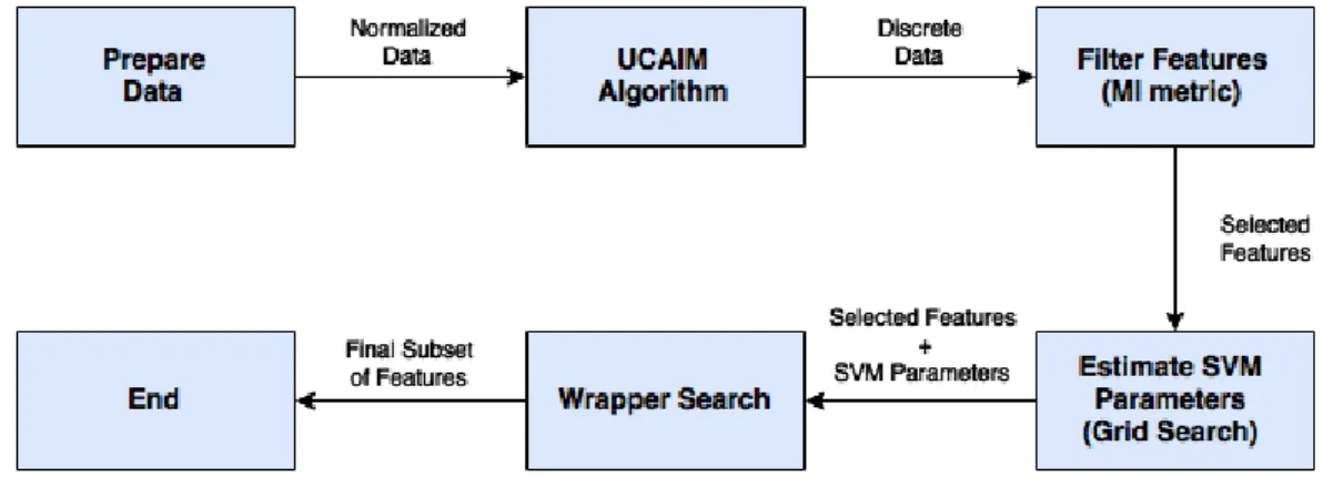 Figure 3.2: Workflow of the MITWS algorithm