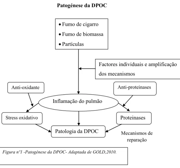 Figura nº1 -Patogénese da DPOC- Adaptada de GOLD,2010. 
