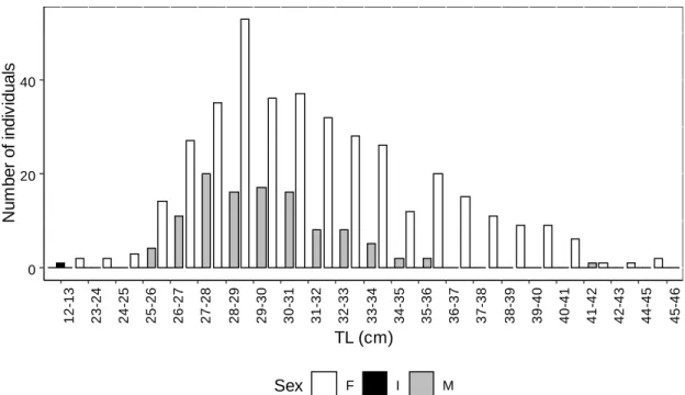 Fig. 3.1. Length-frequency distribution of Trigla lyra. White bars correspond to females,  grey bars correspond to males and black bars correspond to immature