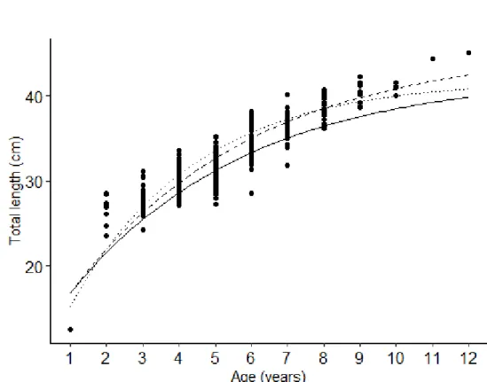 Fig. 3.7. The von Bertalanffy growth curves for Trigla lyra using three different methods: 