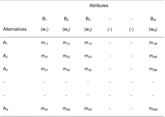 Table 2.2. Decision table in MADM methods (extracted from Rao, 2006) Attributes  Alternatives  B 1(w 1 )  B 2(w2 )  B 3(w3 )  -  (-)  -  (-)  B M(wM )  A 1 m 11 m 12 m 13 -  -  m 1M A 2 m 21 m 22 m 23 -  -  m 2M A 3 m 31 m 32 m 33 -  -  m 3M -  -  -  -  - 