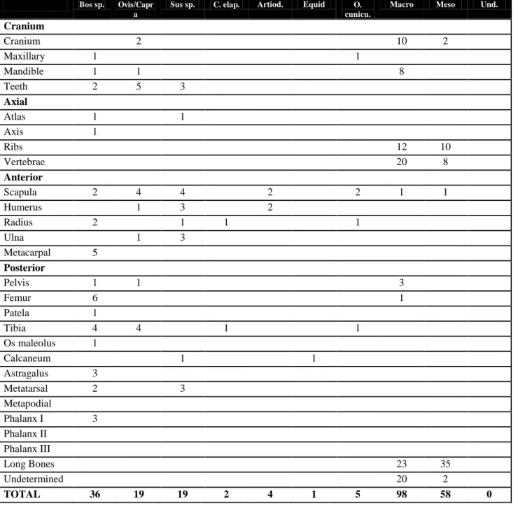 Table 2. Number of indentified specimens by parts of the skeleton in the Roman period -3 rd -4 th  century from the  Conimbriga Amphitheatre