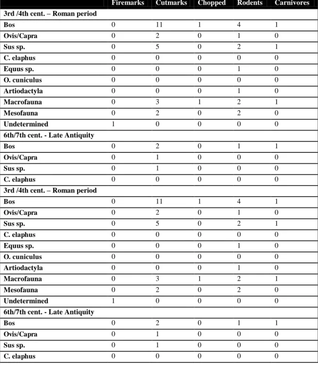 Table 7. Taphonomic information of anthropic and animal origin in the elements observed for this study