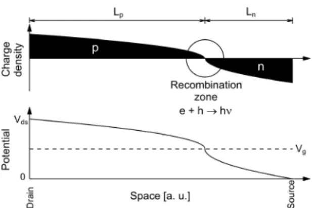 Fig. 3. Charge distribution and potential in an ambipolar TFT when the gate bias is in between the drain and the source bias