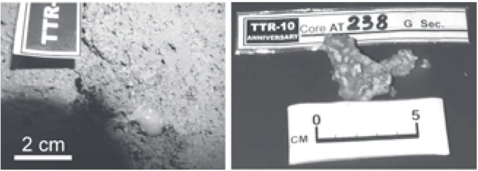 Figura 5 – (a) Dissolução de hidratos observada num core obtido no vulcão de lama Captain Arutyunov (TTR-12), aquando da sua abertura