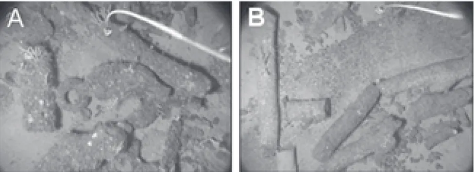 Figura 4 – Imagens de vídeo subaquático sobre os campos de crostas e chaminés associados ao diapiro de lama Ibérico (localização na figura 1)
