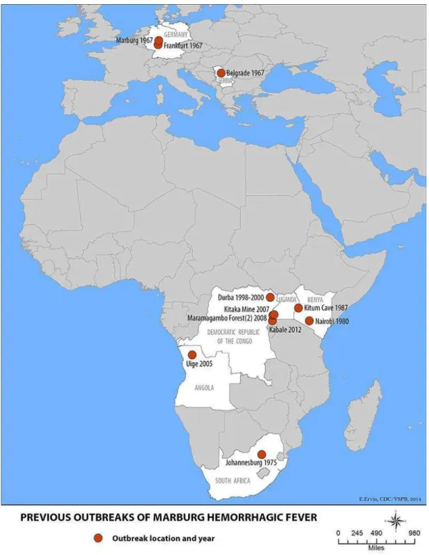 Figura  7  –  Distribuição  geográfica  da  localização  dos  surtos  de  MARV  (adaptado  de  http://www.cdc.gov/vhf/marburg/outbreaks/distribution-map.html)  Quénia,  Uganda,  República  Democrática do Congo, Angola e África do Sul são os países onde, at