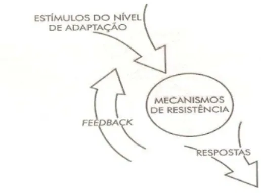 Fig. 1 – A pessoa como um sistema 