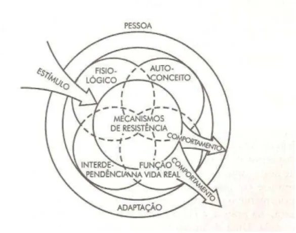 Fig. 2  –  A pessoa como um sistema adaptável 
