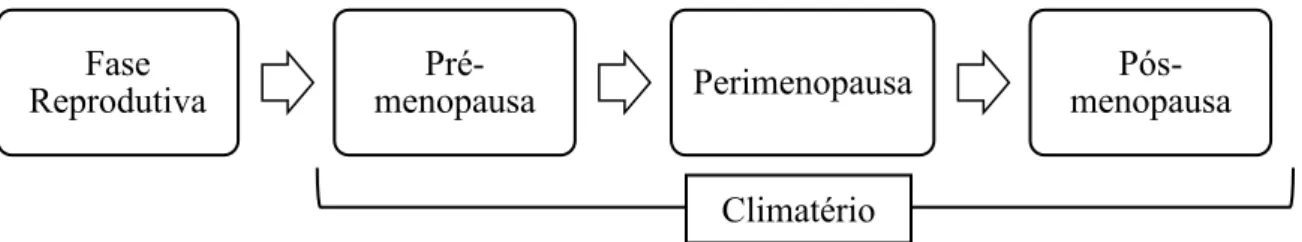 Figura 1 - Esquema representativo do ciclo de vida da mulher entre a fase reprodutiva e a não reprodutiva 