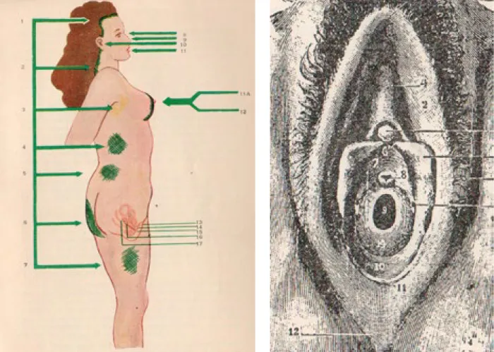 Fig. 3 e 4 – Respectivamente da esquerda à direita: localização das zonas de sensação erógena da mulher