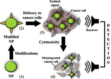 Figura 14: Modo de ação dos theranostics (Chowdhury et al., 2016) 
