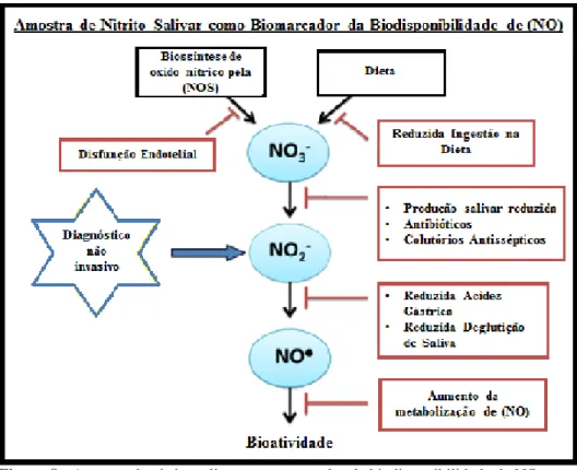 Figura 8 - Amostra de nitrito salivar como marcador da biodisponibilidade de NO. 