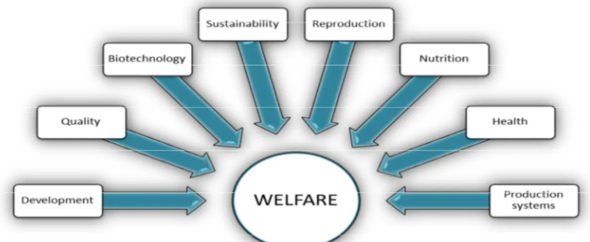 Figure 1.2 |Research-driven areas within aquaculture scientific field with fish welfare as the core goal of those  areas 