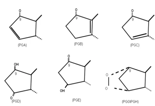 Figure 4. Nomenclature of the prostaglandins based on their ring structures. 