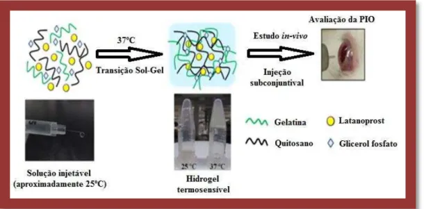 Figura 7: Esquema de formação, admistração e controlo do hidrogel termosensível à base de  CS/G/GP (Adaptado de Cheng et al., 2014)