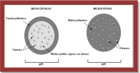 Figura 11: Representação de micropartículas (microcápsula e microesfera) (Adaptado de Melo et  al., 2012)