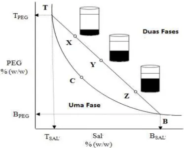 Figura  3:  Curva  binodal.  TBC-  curva  binodal;  C-  ponto  crítico;  TB-  “tie -line ”; T -  composição  da  fase  superior; B- composição da fase inferior; X,Y,Z- composição total do SBA (Raja et al., 2012)