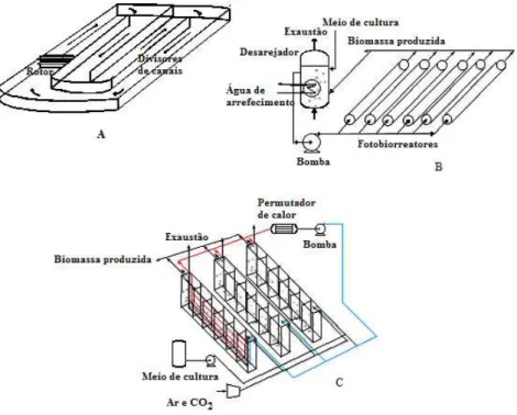 Figura 8 -  Representação esquemática de três sistemas de cultivo de microalgas em larga escala: (A)  lagoa raceway; (B) fotobiorreatores tubulares e (C) fotobiorreatores de placas paralelas [36]