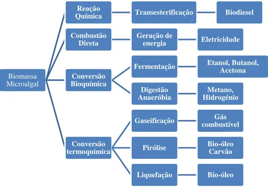 Figura 16  –  Formas de converter biomassa algal em biocombustível [28]. 