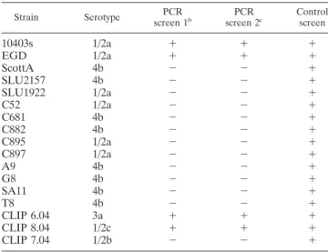 Table 3 displays a summary of both of the PCR screens. All 17 isolates were positive for the control iap fragment, but only four, EGD, 10403s, CLIP 6.04, and CLIP 8.04, possessed the