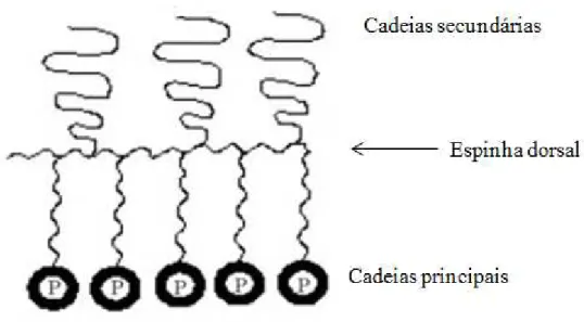Fig. 5. Figura ilustrativa de um polímero ramificado (Aloorkar et al., 2012). 