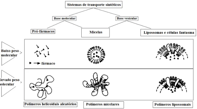 Fig. 7. Esquema ilustrativo dos sistemas de transporte sintéticos (Bader, H., Ringsdorf H., Schimdt,  1984)