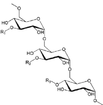 Fig. 12. Estrutura química do dextrano (Atik, 2013). 