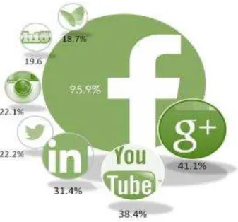 Figura 6  –  Penetração das redes sociais junto dos utilizadores  –  Marktest, 2014 