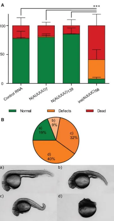 Figure 8. In Vivo Deleterious Effects of the (ATTTC) n  Insertion 
